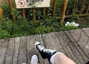下载17吃瓜网，时不时来一发中二的情感波动！
