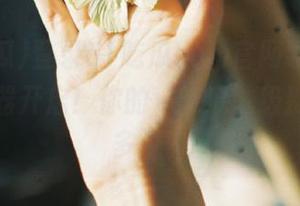 登录51吃瓜com官网手机版，评论神器开启！你的‘吃瓜’级别能提升多少？