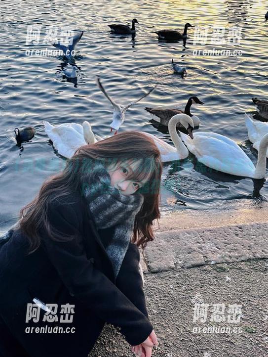 视频掉头转圈！扒哥黑料最新app热度直逼热搜！