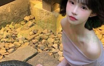 只需几步，永久畅通无阻的回家之旅，在黑料吃瓜网等你！