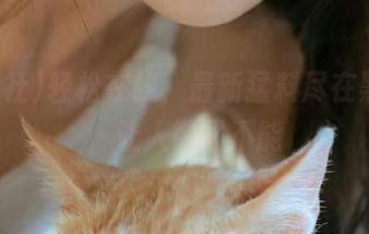 轻松在线，最新猛料尽在黑料社，让人欲罢不能