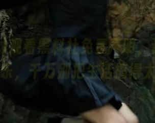 观看黑料社免责声明，许多内幕仅供娱乐，千万别把生活搞得太正经！